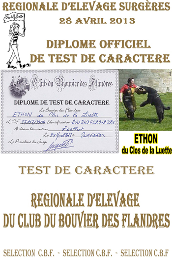 ETHON du Clos de la Luette test de caractere ©